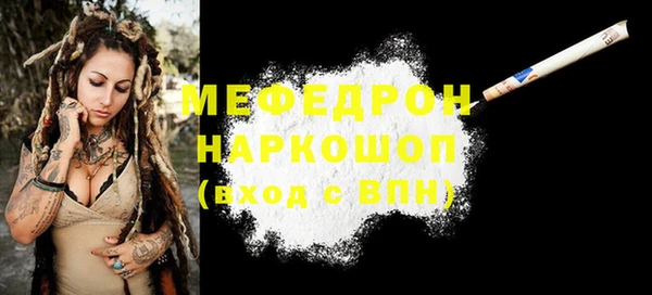 молекула духа Богородицк