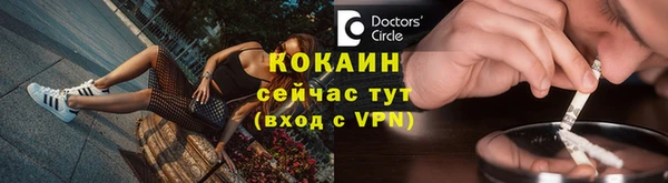 молекула духа Богородицк