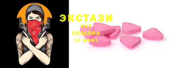 молекула духа Богородицк