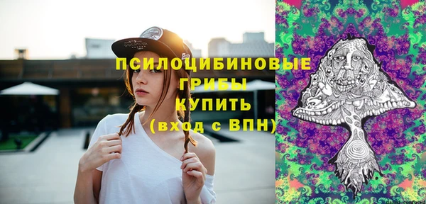 дживик Богородск