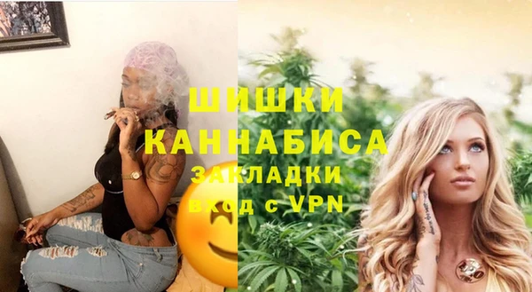 молекула духа Богородицк